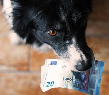 Detrazione fiscale delle spese veterinarie