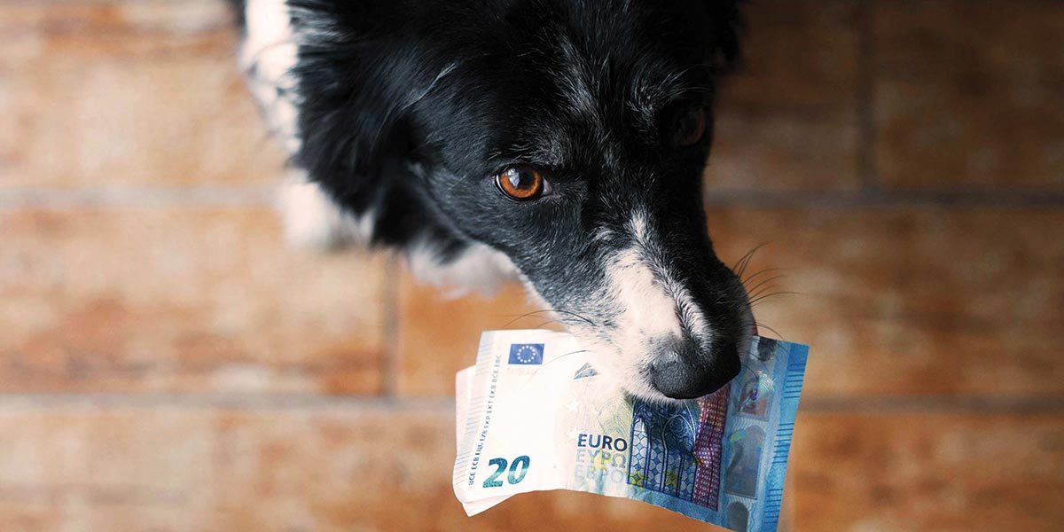 Detrazione fiscale delle spese veterinarie
