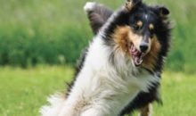 Struttura accreditata FSA