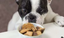 Piani salute e nutrizione