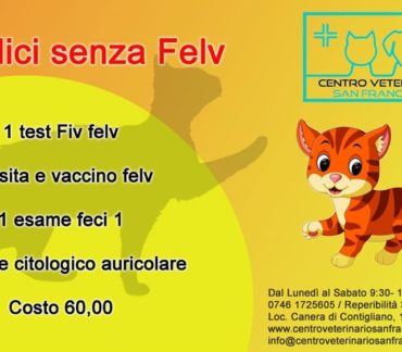 Felici senza Felv
