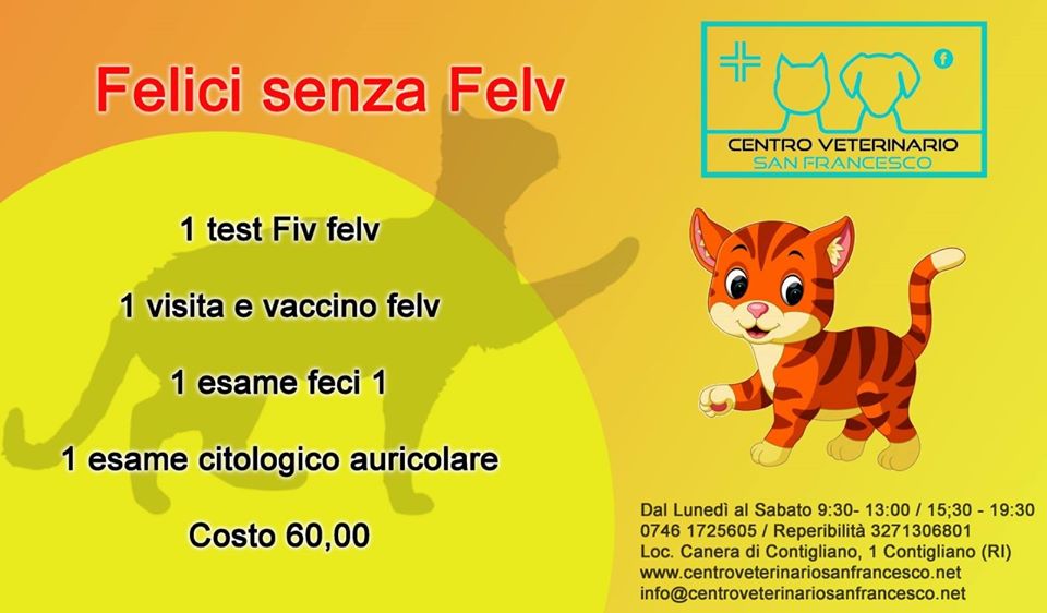 Felici senza Felv
