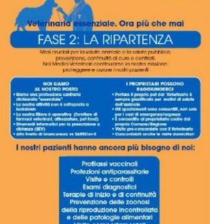 Prestazioni veterinarie nella Fase 2
